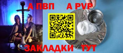 твердый Кингисепп