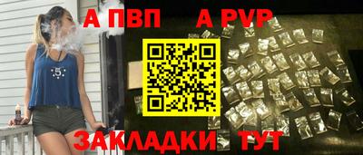 твердый Кингисепп